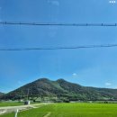 오케이잔치국수(OK잔치국수) 이미지