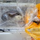 어구가자미 배낚시 겨울낚시 강원도 고성군 거진항 낭만호