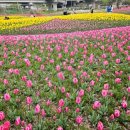 낙동강관리본부 화명생태공원 8 이미지