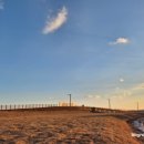 영덕 물가자미 전문점 이미지