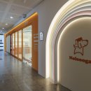 놀러오개 애견유치원 애견호텔 전주점 이미지