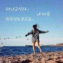 바닷가펜션크리스마스애견동반