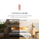 H8491 네이버블로그