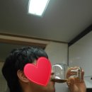 진홍농장 네이버블로그