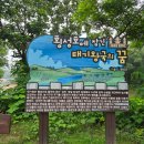 호수길걷기명상 이미지