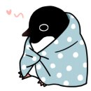 디지컴퍼니 이미지