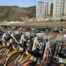 풍덕교옆 뚝방 이미지