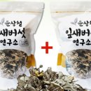 뿌리와잎새