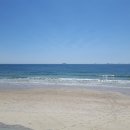 대천해수욕장 이미지