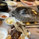 순한우 이미지