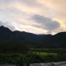 당포의아침 이미지