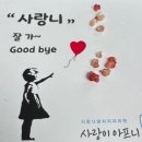 신흥유치원 | 교육유감, 시카고 자유부인, 6세 고집, T발 아들, 문래창착촌, 신흥상회, 사랑이 아프니, 매복치아 발치)