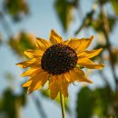 노인장기요양기관지원센터 이미지