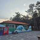 맹방 비치캠핑장 | [맹방] 맹방 비치 캠핑장 A1, A2 사이트