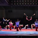 월드태권도 이미지