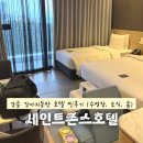 트윈펫 | 강릉 세인트존스호텔 이용후기 (펫트윈룸 노오션뷰 / 수영장 / 조식)