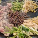 몽돈 | [2025.09 거제여행] 몽돈 | 꽃차돌구절판이라고 들어봤나? 맛있는 차돌박이가 있는 거제맛집 거제밥집추천