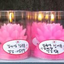 나반 이미지