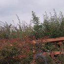 일등요양병원 이미지