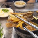 [미아역 맛집] 기력 회복에 최고! 10년 전통 '힘센풍천장어'에서 복분자주와 함께한 찐 몸보신 후기