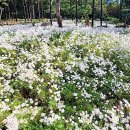 율곡수목원(1) 이미지