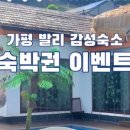 4PM STAY 이미지