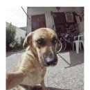 느낌있는 걸 이미지