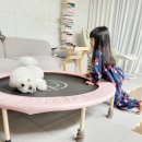 백일농장 이미지