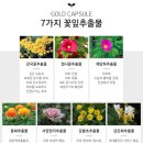 얼짱스킨