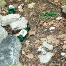 강변운동장제방 이미지