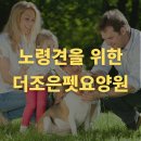 더조은펫 - 미추홀구 경인로 350-1 | 더조은펫