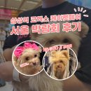 엘모펫