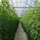 이경용농장 이미지