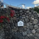 요요정원 | [제주 서쪽 숙소] 요요정원