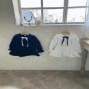 아젤리아 이미지