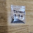 다알리아형 루드베키아 이미지