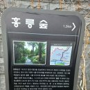 (후기) 1293회 평낮화요걷기(5.2) 홍릉수목원(숲해설프로그램)/천장산 이미지