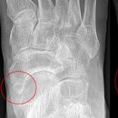 발안한의원 이미지