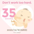 정정상회