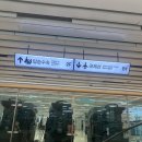 (주)선진항공여행사 | 서울 김포공항에서 아시아나항공 비행기 타고 제주도 여행 후기