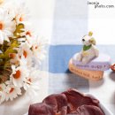 아이라이크펫 이미지