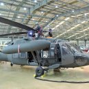 그냥 심심해서요. (41236) 대한항공 이미지