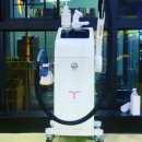 비에프짐 이미지