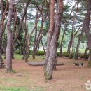 [경상북도 청송군] 청송초전댁