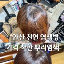롯데리아지사점 | 안산천연염색 전문점 추천 가격 저렴한곳 뿌리염색 두피케어 후기 아비가일