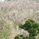 해남농장 이미지