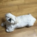 꾸러기동물병원 이미지