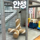 안성 아이랑 키즈카페 놀거리 내돈내산 후기