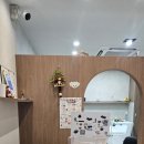 향동애견미용 이미지