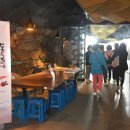 동굴에 평화의 동백이 이미지